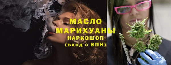 гидра Арсеньев