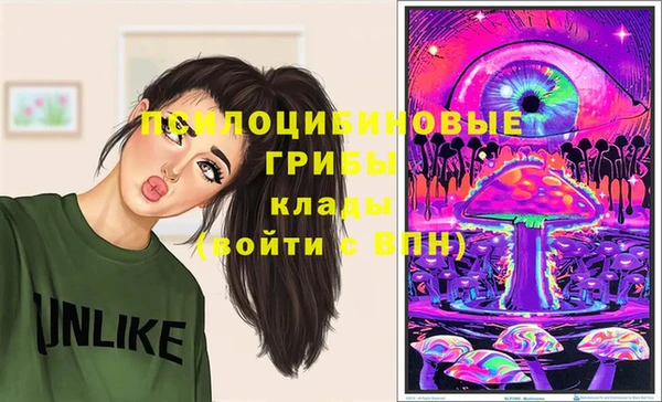 гидра Арсеньев