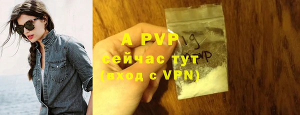 a pvp Аркадак