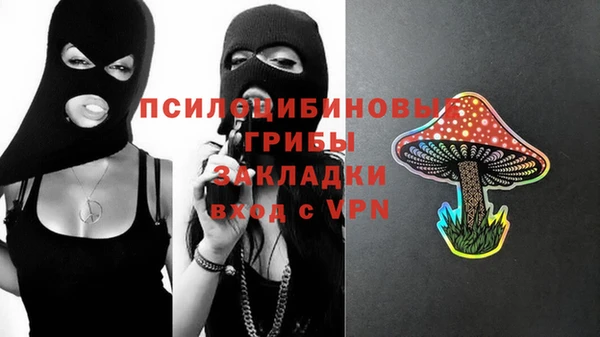 гидра Арсеньев