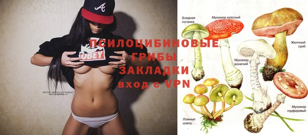 мяу мяу мука Армянск